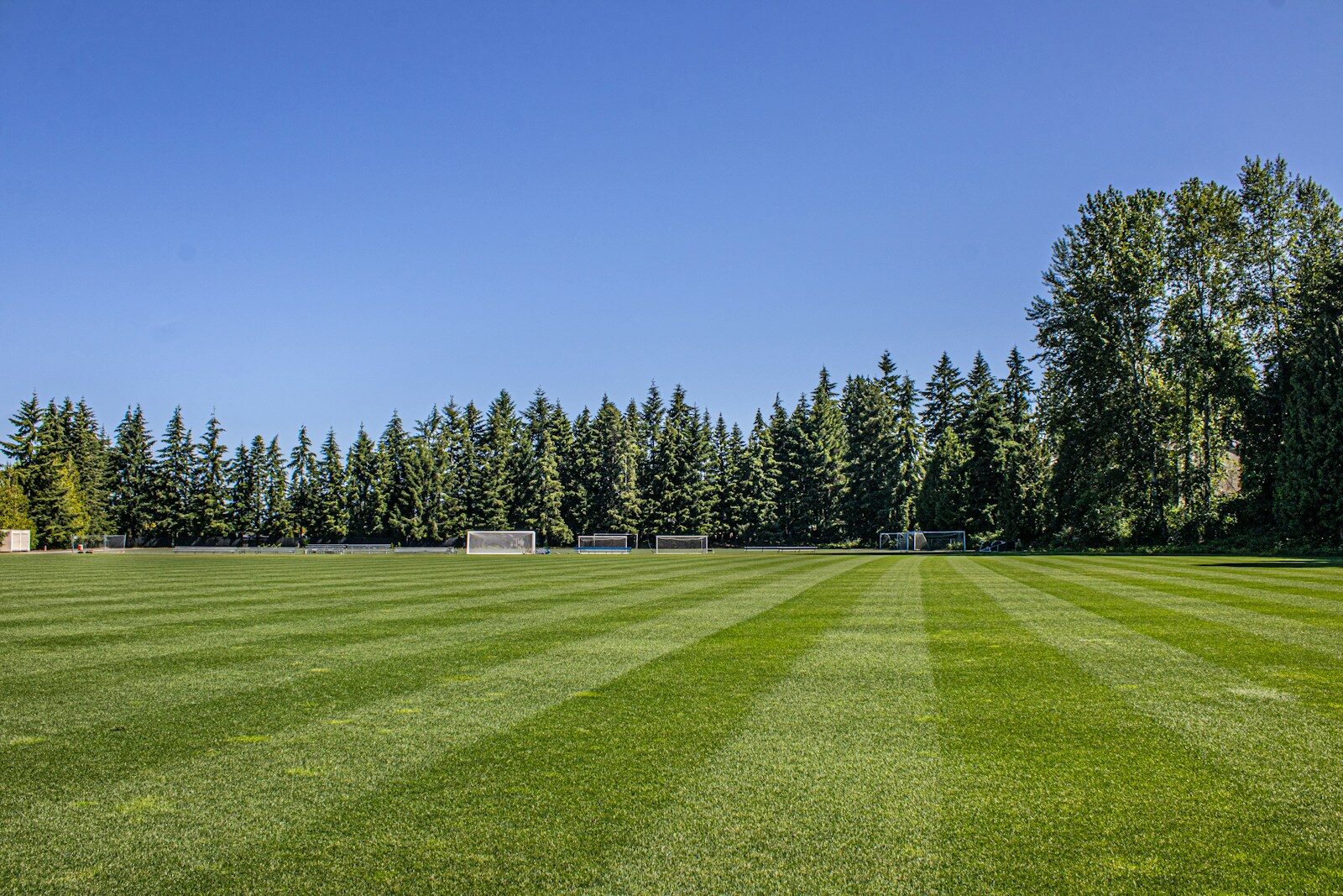 A large grassy field with trees in the background